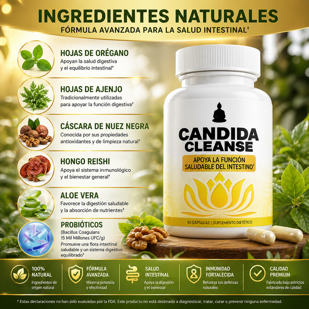 Suplemento CANDIDA Apoyo Intestinal – Equilibra tu flora y recupera tu bienestar