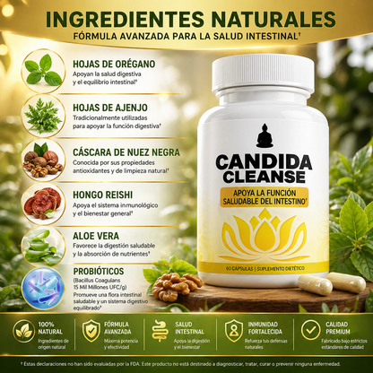 Suplemento CANDIDA Apoyo Intestinal – Equilibra tu flora y recupera tu bienestar